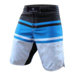 Custom MMA Shorts Solid Fighter
