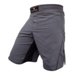 Custom MMA Shorts Solid Fighter