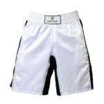 Custom MMA Shorts Solid Fighter