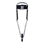Head Harness