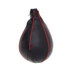 Rexion Speed Ball