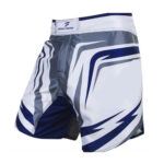 Custom MMA Shorts Solid Fighter