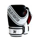 Muaythai Boxing Gloves