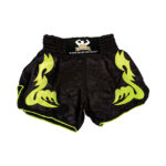 Applique Work Muay Thai Shorts