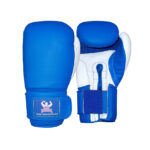 Boxing Training Gloves