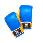 Hand Molded Boxing Gloves