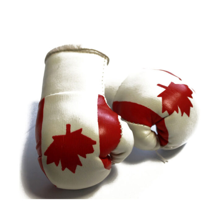 canada mini boxing car hanging pairs with custom design and logo solid fighter