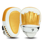 Shock Absorber Punching Mitts