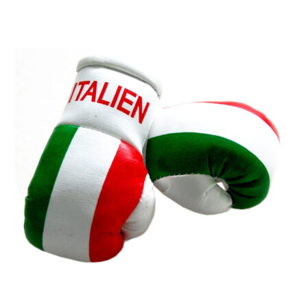 Italian Flag Mini Boxing Pair solid fighter custom design and logo