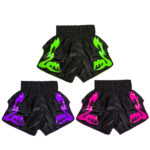 Applique Work Muay Thai Shorts
