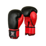 Custom Boxing gloves
