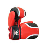 Custom Boxing Gloves